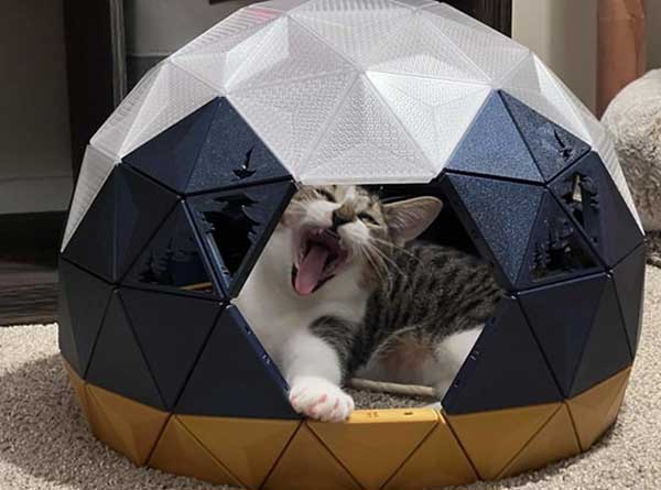 dome cat house dome cat house